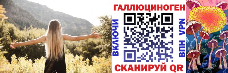 Купить закладки  Котельниково  Псилоцибиновые грибы Psilocybe 